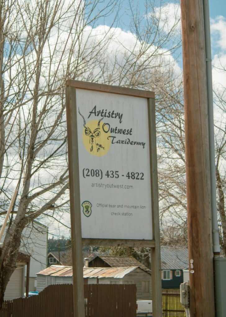Artistry-Outwest-Taxidermy-Sign
