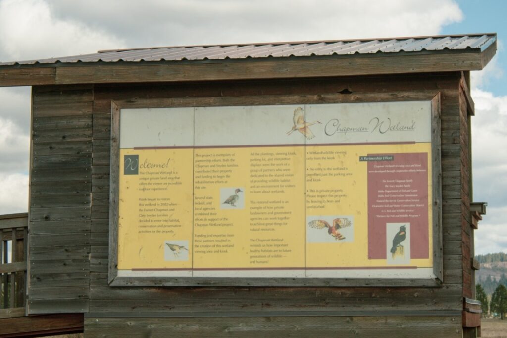 Chapman-Wetland-2