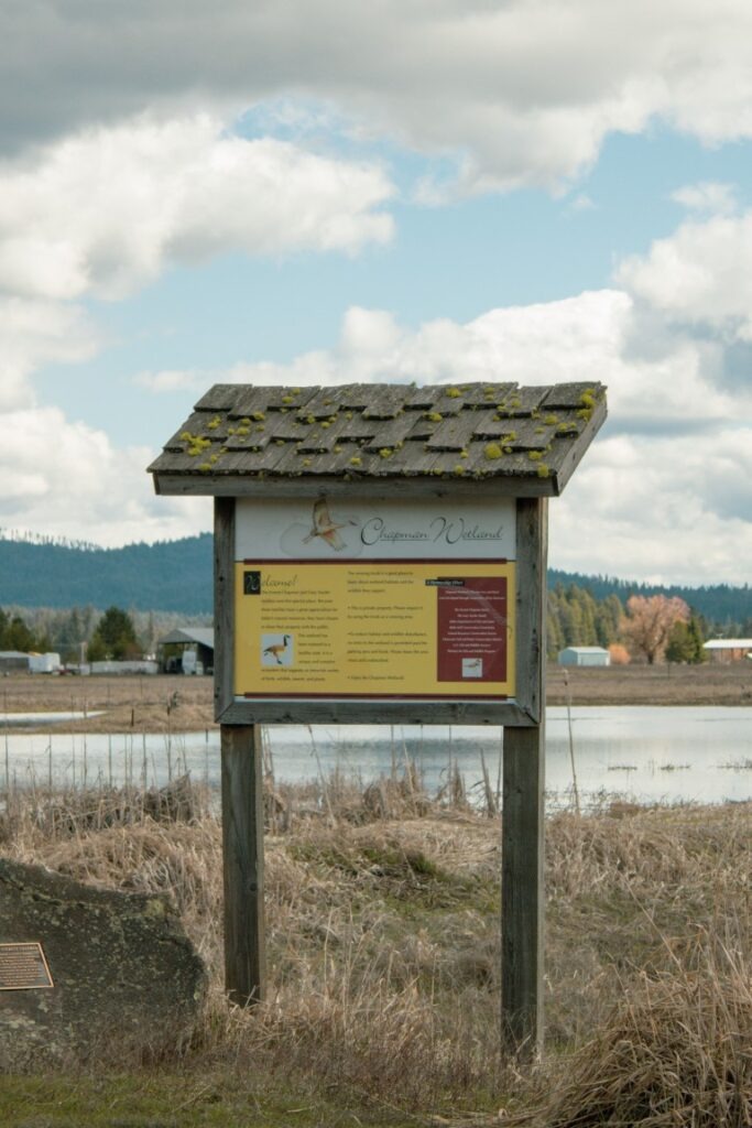 Chapman-Wetland-3