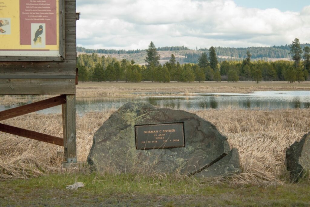 Chapman-Wetland-Syder-Rock