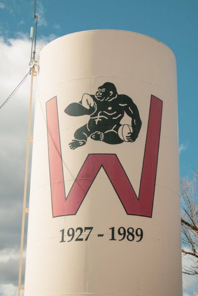 Weippe-Gorilla-1