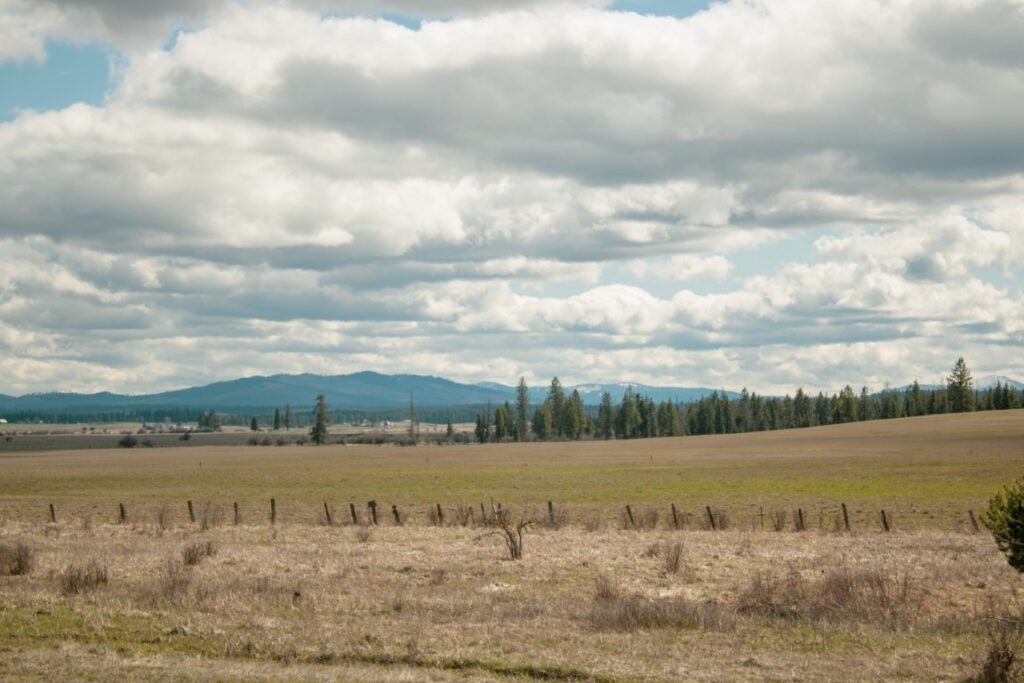 Weippe-Prairie-1