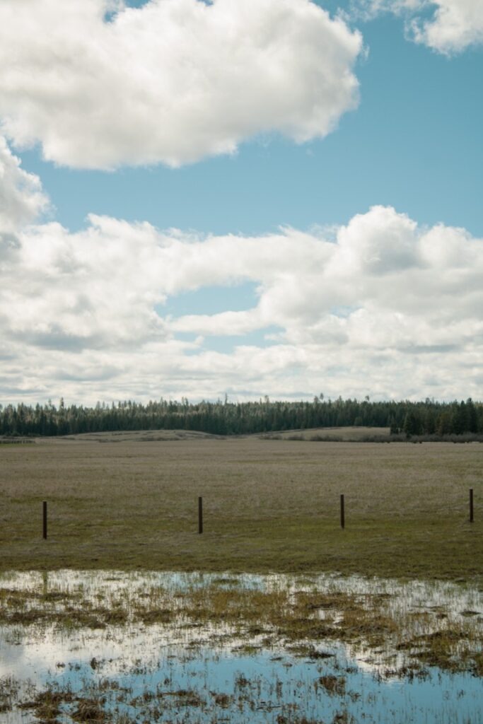Weippe-Prairie-2