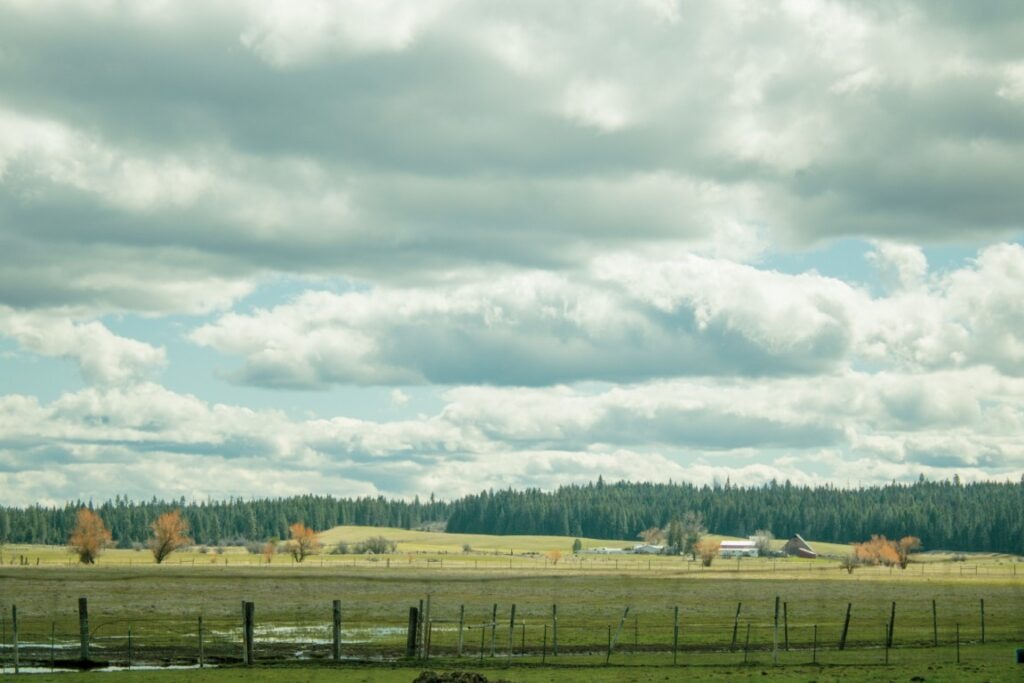 Weippe-Prairie-3