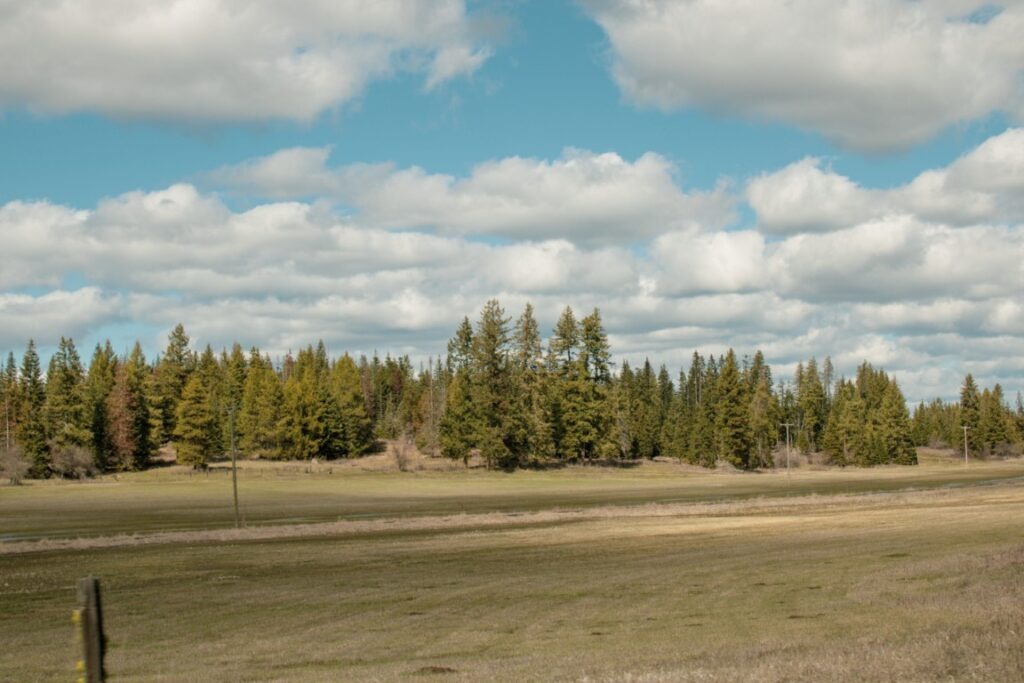 Weippe-Prairie-4