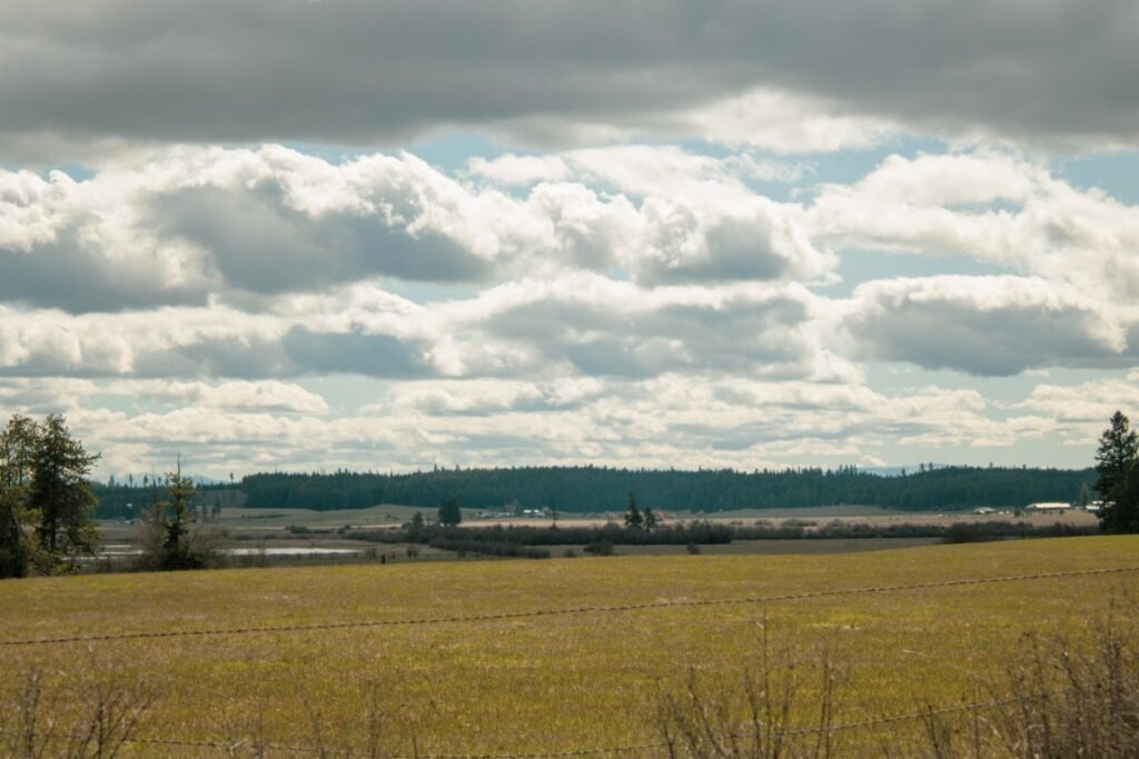 Weippe-Prairie-5