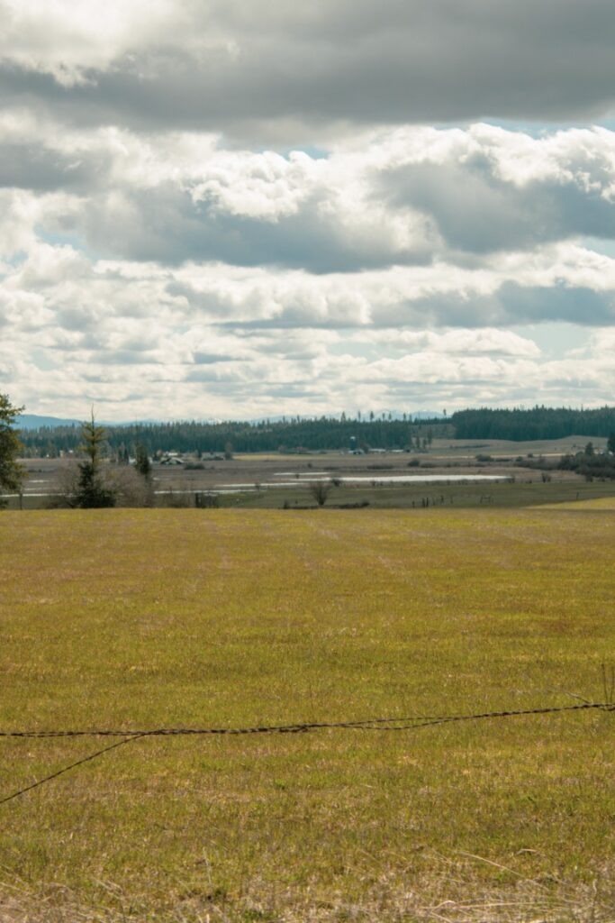 Weippe-Prairie-6