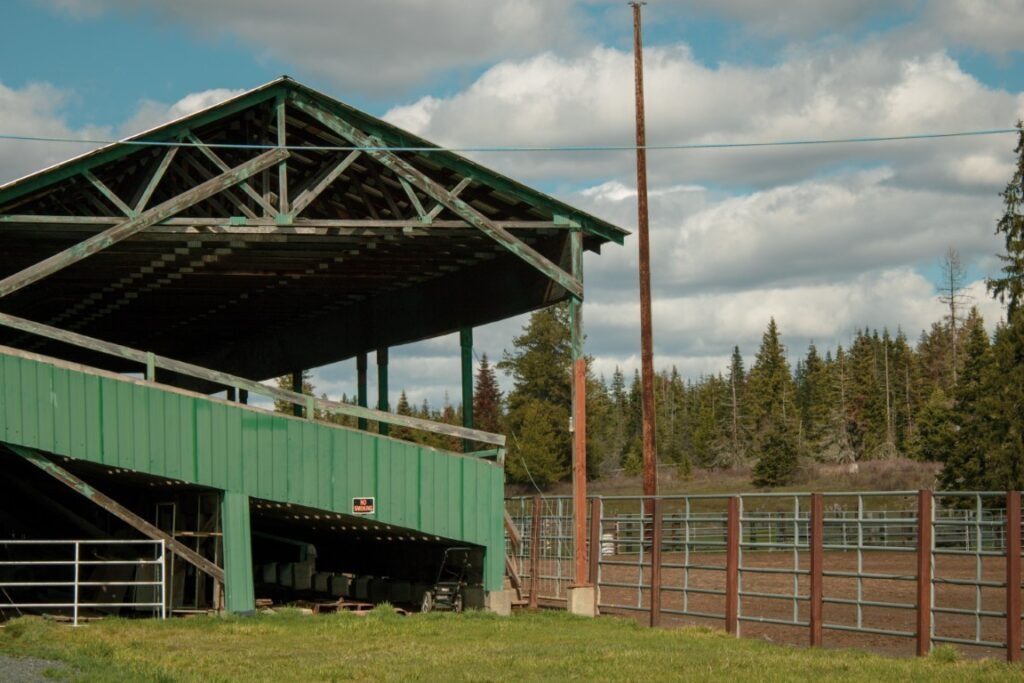 Wild-Weippe-Rodeo-3
