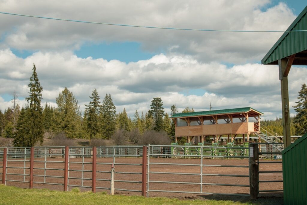Wild-Weippe-Rodeo-4